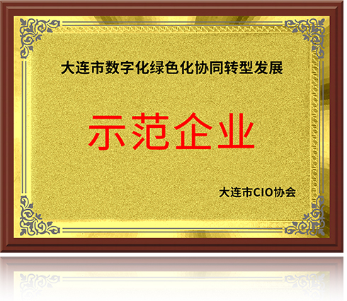 大连市两化协同转型发展示范企业证书