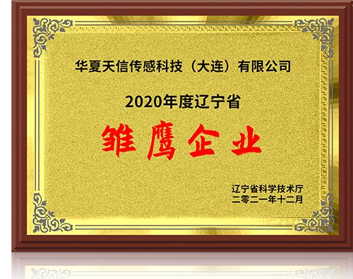 辽宁省雏鹰企业证书
